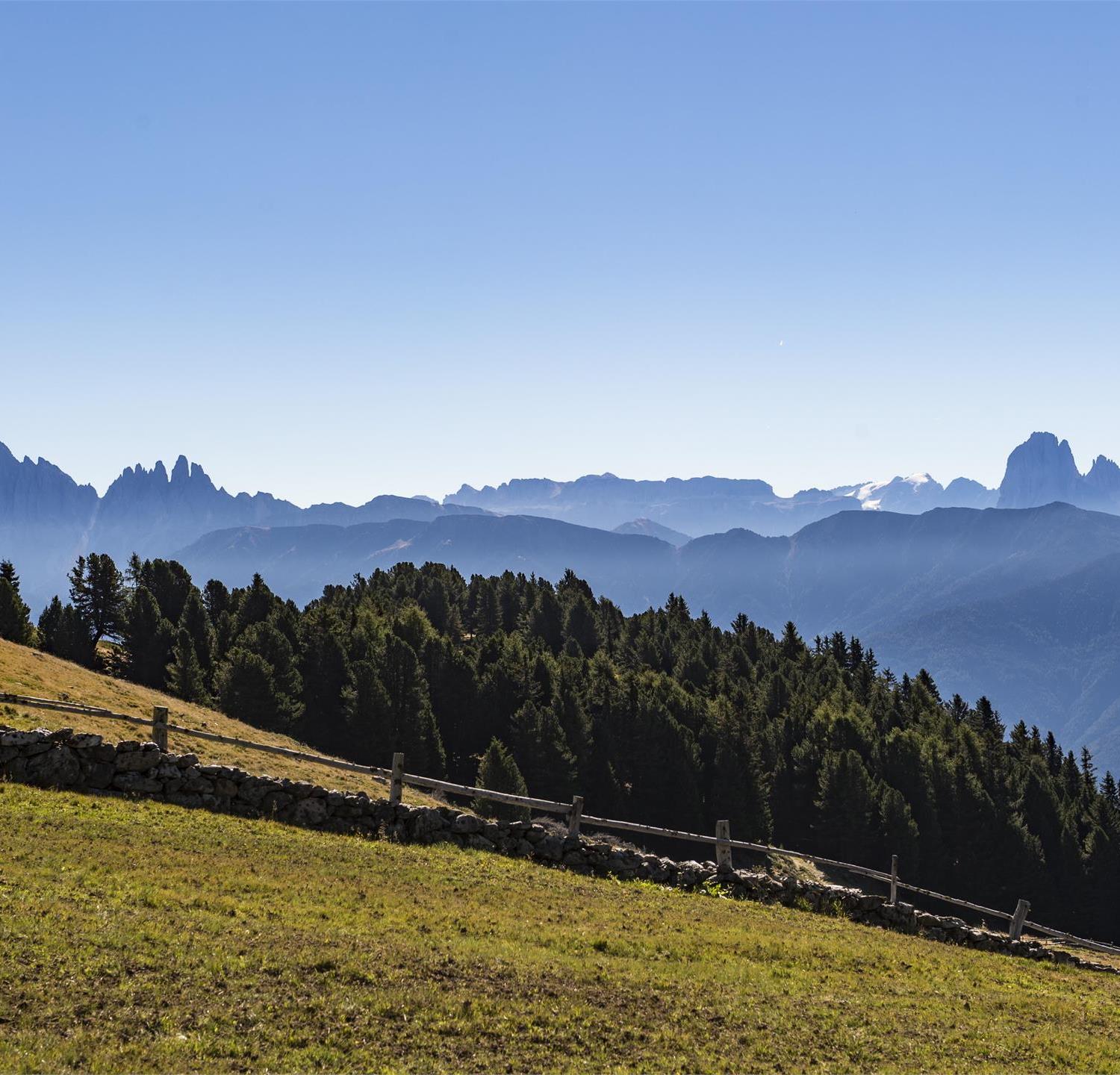 Foto per Escursione guidata in montagna: Alto sentiero di Lazfons